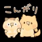 となりのにゃんこ　summer2022