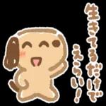 モノトーンの冬に色を彩ろう〜