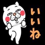 😍憧れ💕アルバム