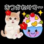 かわいい猫❤️大人かわいい夏❤️猫にゃん