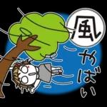 はな子✿年中の防災と災害級の天気