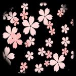 入学おめでとうございます