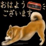 さすが！柴犬（よく使う言葉編２）