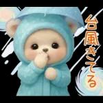 可愛い子熊 キュートな氷の服 思いやり 夏