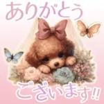 願いが叶いますように！