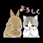 ずっとあなたを守ります😊😊😊