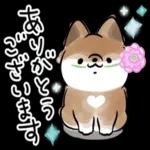るん
るん
羊いたよ~