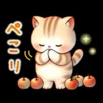 猫のつめあわせ【秋】
