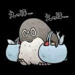 【夏】虚無かわいいアデリーペンギン