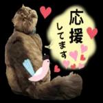 かわいいねこちゃん〜〜