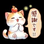 猫のつめあわせ【秋】