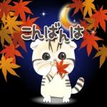 かわいい猫😺が来ますよ！