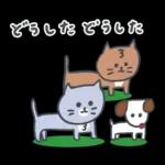 家族で使える秋の灰色キャット【猫】