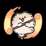 ハワイ大好きポメトーン