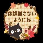 黒ネコの気遣い日常〜🐈‍⬛