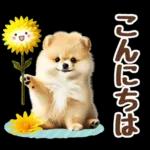 癒しポメラニアンの春のあいさつ