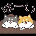 お返事シバイヌくん(ポジティブ)