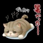ちびニャンず♡夏の日常-毎日使える-