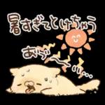 となりのにゃんこ　summer2022