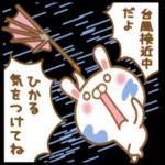 大好きなひかるに送る秋とハロウィン