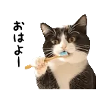 🧭今、話題のスタンプがコレ！