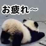 おすすめ！かわいいパンダチャン