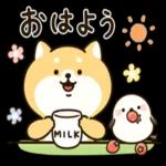 こんにちは