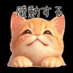 ぽっちゃりちび橘猫