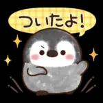 ふんわりペンちゃん【家族連絡用】