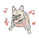 【動く】毎日使えるフレンチブルドッグ