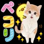 応援してます 3