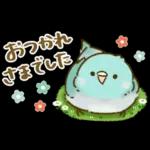 敬語が話せる！もふもふインコ