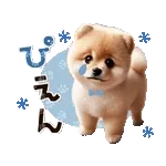 👵✨伝説のばあちゃんまた登場！