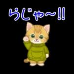 冬のキラキラおめめの子猫ちゃん