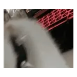 気持ちが伝わる日常メッセージ☆