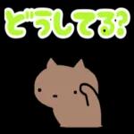 ねこの絵文字いっぱい😽💕