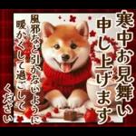 柴犬と白蛇の幸運あけおめスタンプ♡