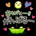 日常＆敬語♡キャラなし大人スタンプ