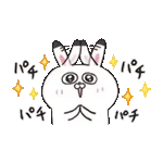 ねこちゃんとうさちゃんだもの