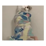 気持ちが伝わる日常メッセージ☆