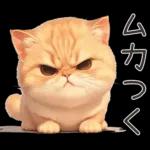 ぽっちゃりちび橘猫