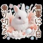 癒しうさぎのマリンスタイル☆*。