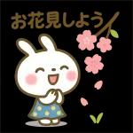 ✨白うさぎさん🐰