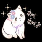 よかったです
