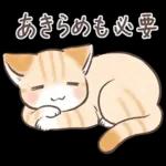 スナネコのサシャ 2