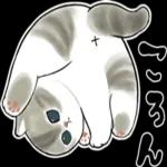今日は猫カレーの日3