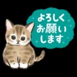 毎日ごろごろ☆猫たちのスタンプ