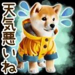 喜怒哀楽の激しい柴犬の野菜ダンス