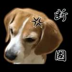 4時の楽しみ🥳🥳🥳	新しいスタンプを見逃さないで