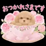 大人かわいい♡いぬと花のスタンプ